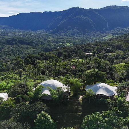 Holos Retreat Center: The Entire Ridge Basecamp Baru Ngoại thất bức ảnh